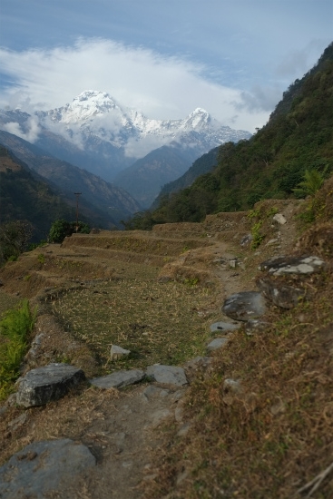 DSCF8718.jpg